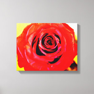 Toile Rose rouge