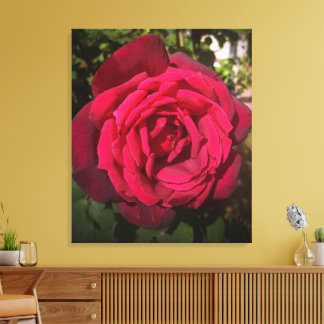 Toile Rose rouge