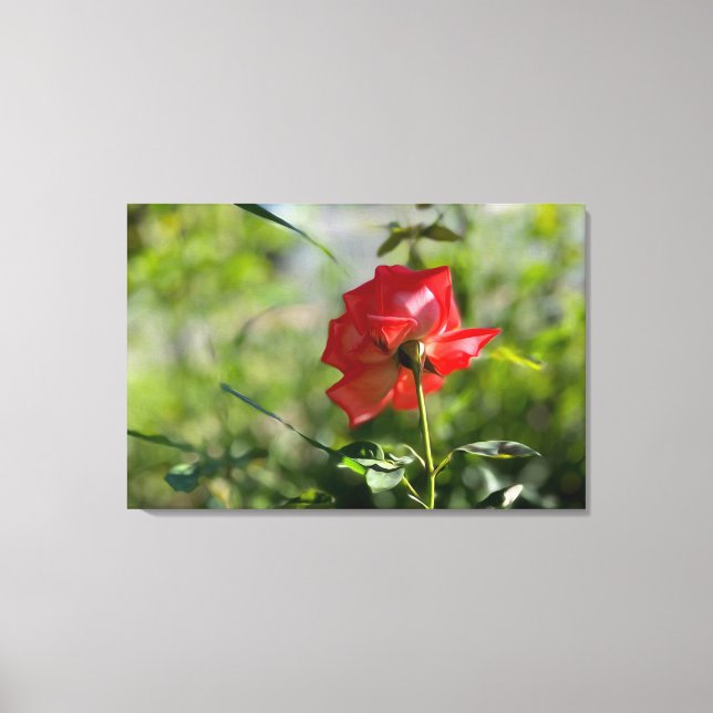 Toile Rose rouge (Recto)
