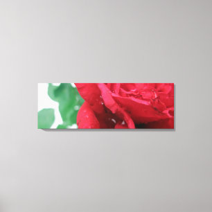 Toile rose rouge