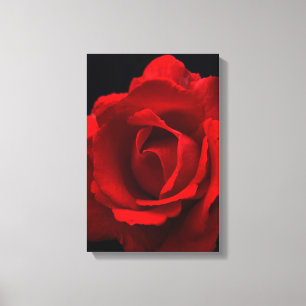 Toile Rose rouge 11x16,5 (27,5x41,25cm) waccna