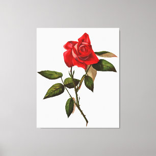 Toile Rose rouge à tige simple artistique