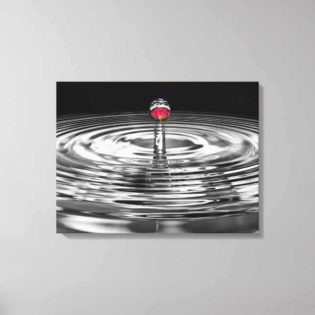 Toile rose rouge dans une goutte d'eau (Recto)
