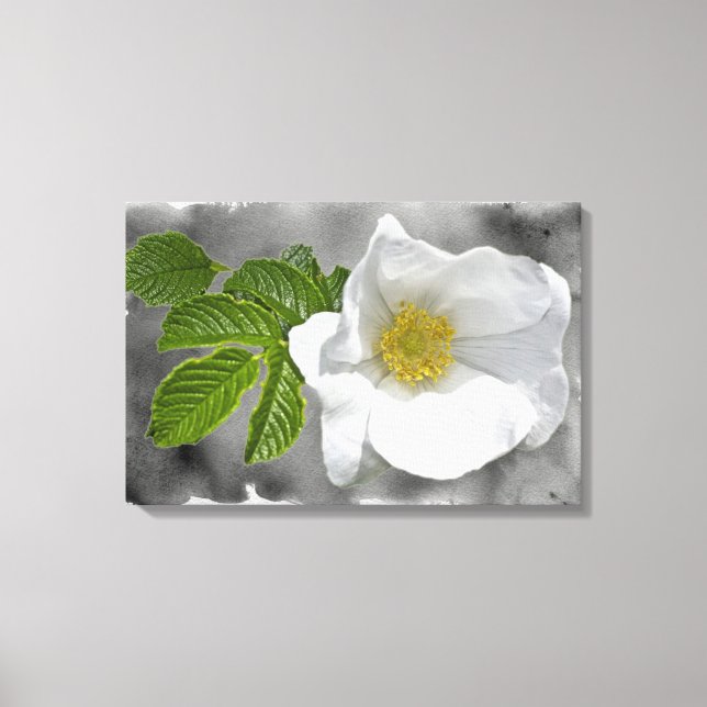 Toile Rose sauvage de plage blanche (Recto)