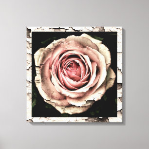 Toile Rose vintage