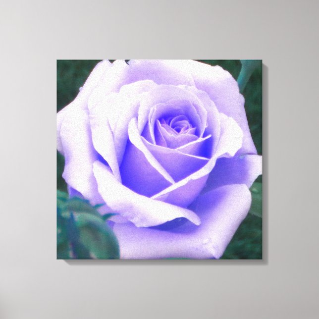 Toile Rose violet pâle enrobée Imprimer (Recto)