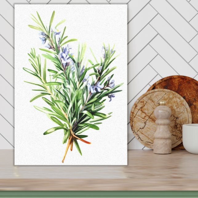 Toile Rosemary Herbe Frais Aquarelle Art pour cuisine (Printed Canvas Bright Green Watercolor Rosemary on White with lavender blooms kitchen art)