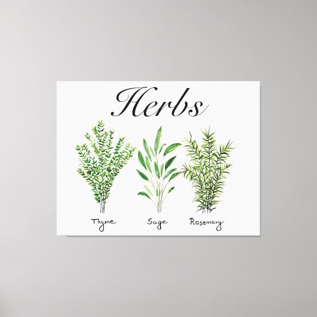 Toile Rosemary Herbes de Sage de thym Cuisine culinaire  (Recto)