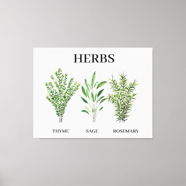 Toile Rosemary Herbes de Sage de thym Cuisine culinaire  (Recto)