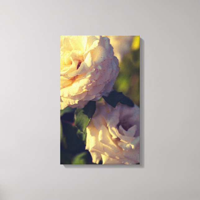 Toile Roses dans un jardin (Recto)