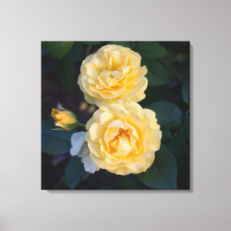 Toile Roses d'or doux