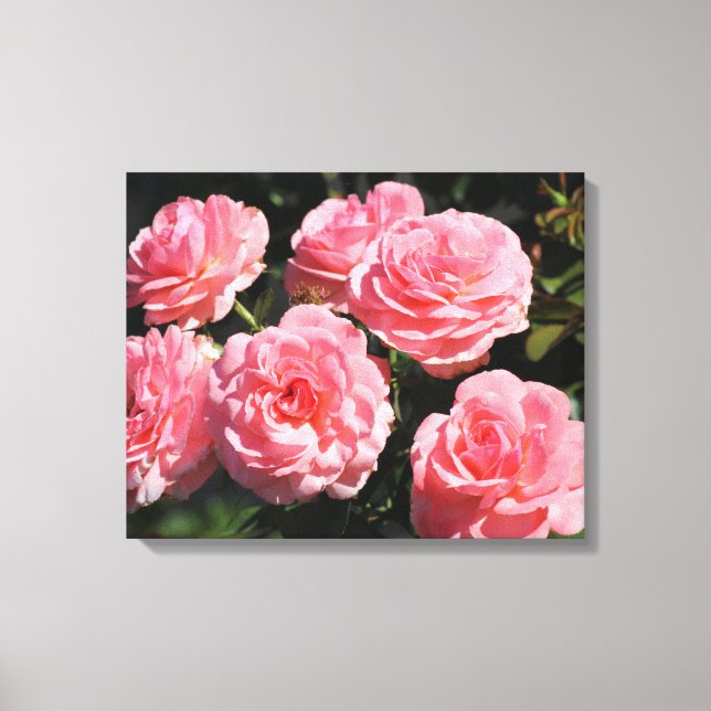 Toile Roses roses en fleur (Recto)