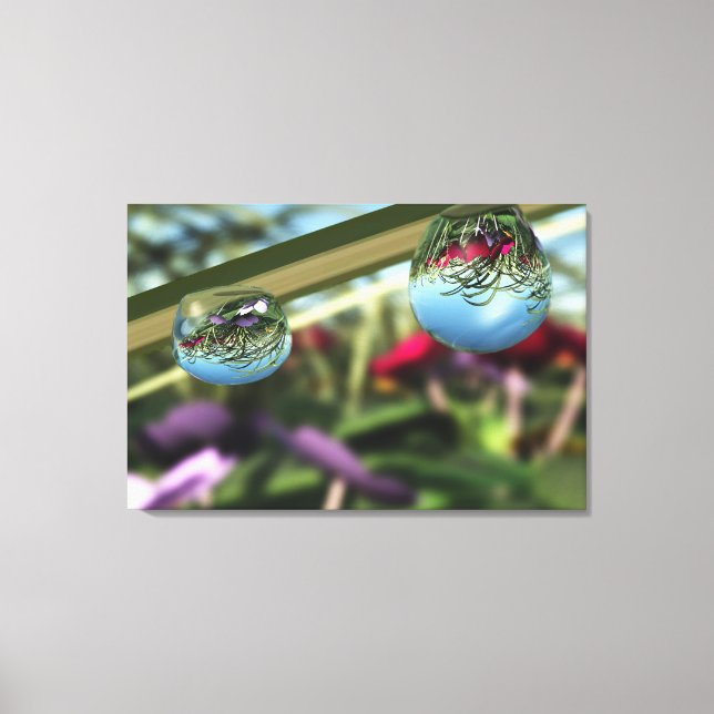 Toile Roses sur Raindrops Canvas Imprimer (Recto)