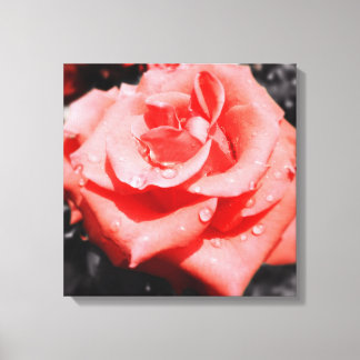 Toile Roses vintages