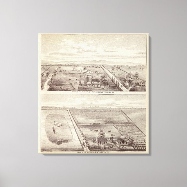 Toile Roth, ranchs Scruggs (Recto)