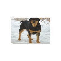 Rottweiler Canvas Print