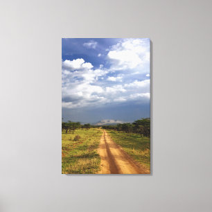 Toile Route primitive de terre à travers le nord