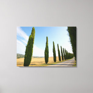 Toile Route rurale bordée d'arbres, Toscane
