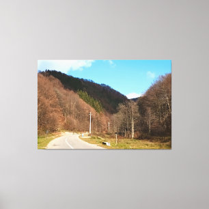Toile Route sinueuse à travers la forêt – Nature sauvage