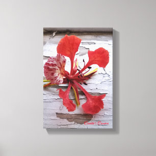 Toile Royal Poinciana sur bois vintage