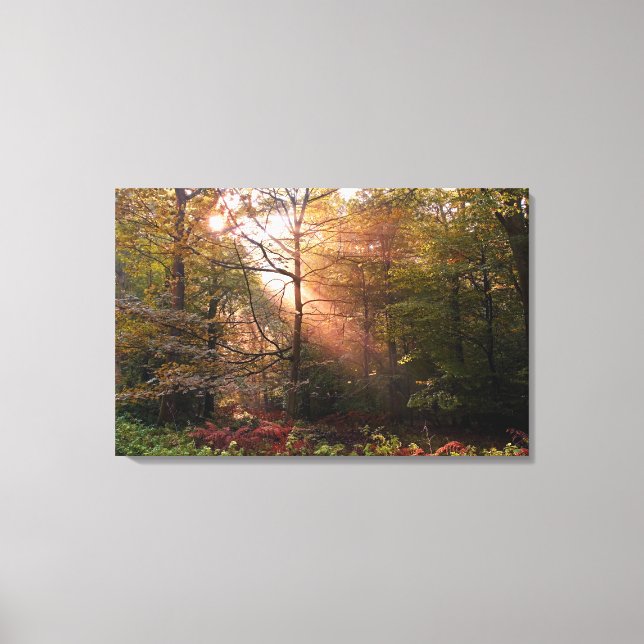 Toile Royaume-Uni. Forêt de Dean. Rayon de soleil pénétr (Recto)