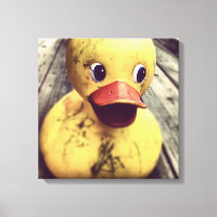 Rubber Jaune Ducky a besoin d'un bain !