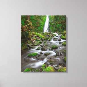 Toile Ruckel Creek Falls, Gorge du Columbia, Oregon