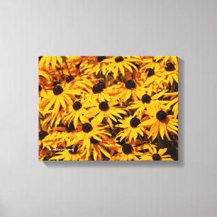 Toile Rudbeckia Fulgida / Rudbeckie à cône orange