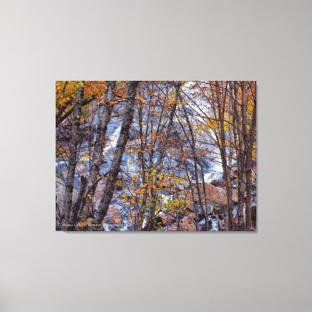 Toile Ruisseau d'automne (Recto)