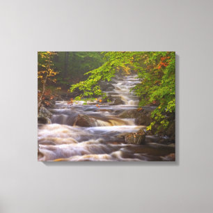 Toile Ruisseaux le long du sentier des Appalaches