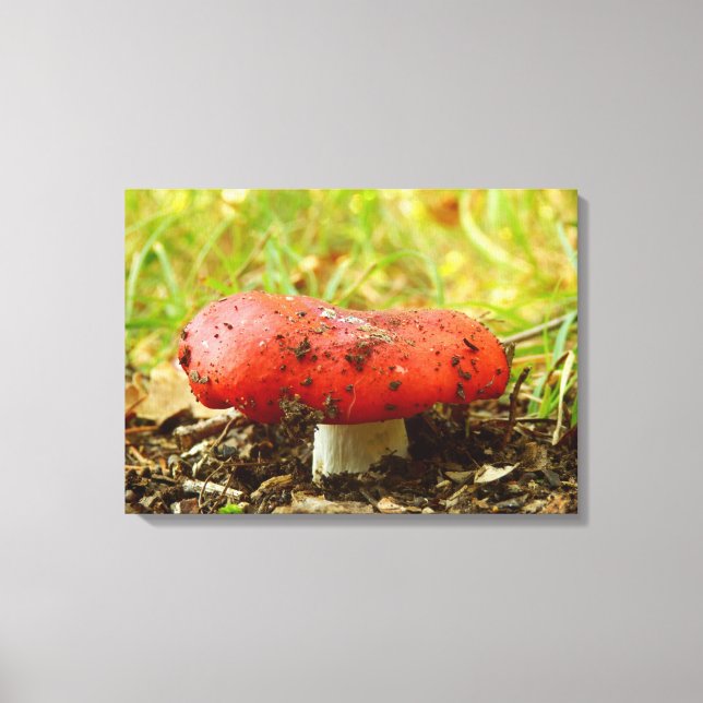 Toile Russula Emetica Imprimer (Recto)