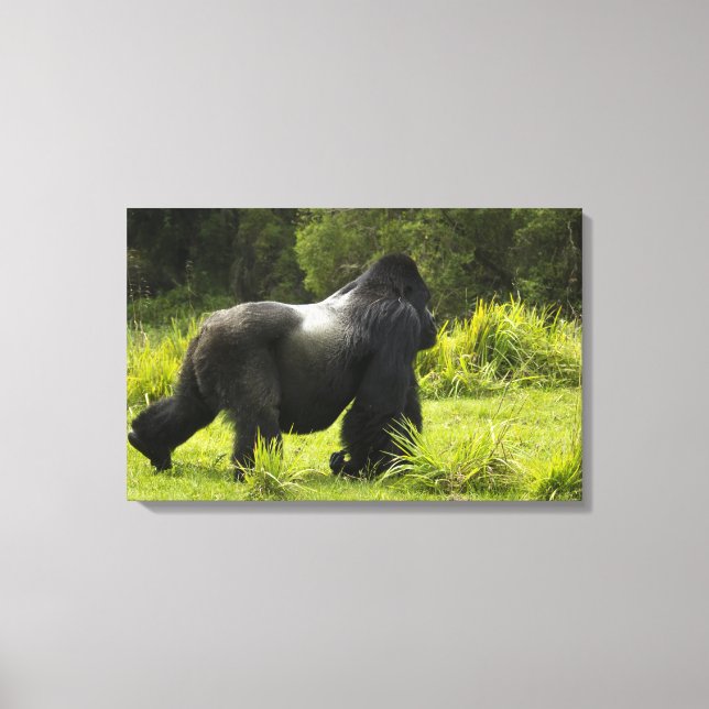Toile Rwanda, Parc national des Volcans (Recto)