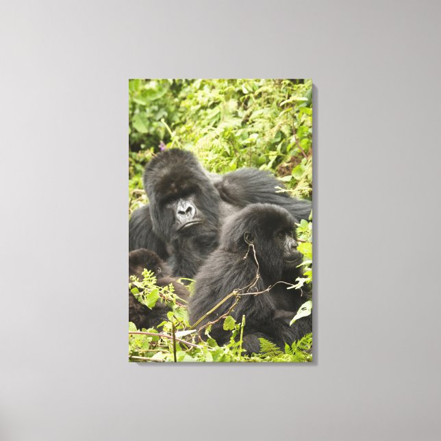 Toile Rwanda, Parc national des Volcans (Recto)