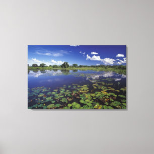 Toile S.A., Brésil, Voies navigables dans le Pantanal