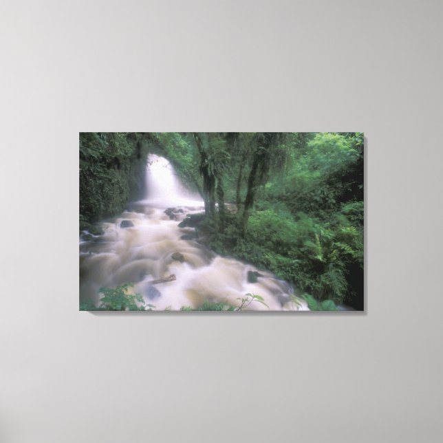 Toile SA, Pérou, S.H. Machu Picchu, Cascade et nuage (Recto)
