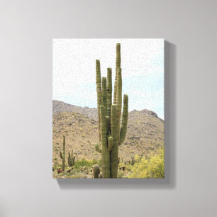 Toile Saguaro Cactus dans le désert de l'Arizona Couleur