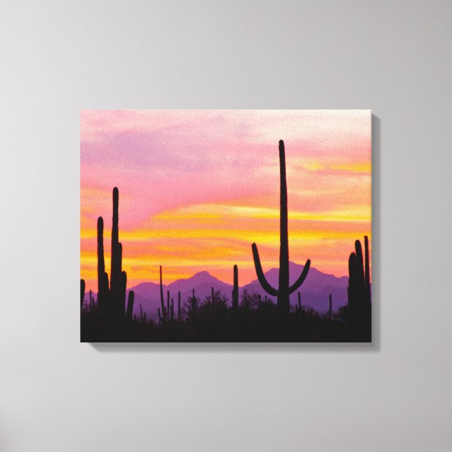 Toile Saguaro Cactus Forest at Sunset (Recto)