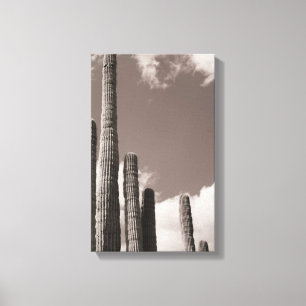 Toile Saguaro Cactus Pipes Desert B&W Photo Art Prints