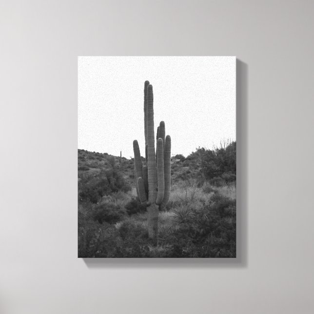 Toile Saguaro noir et blanc Cactus 11x14 (Recto)