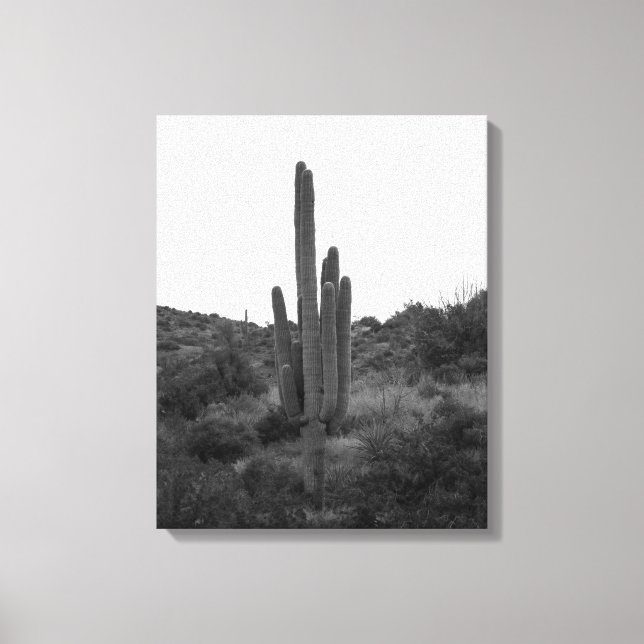 Toile Saguaro noir et blanc Cactus 16x20 (Recto)