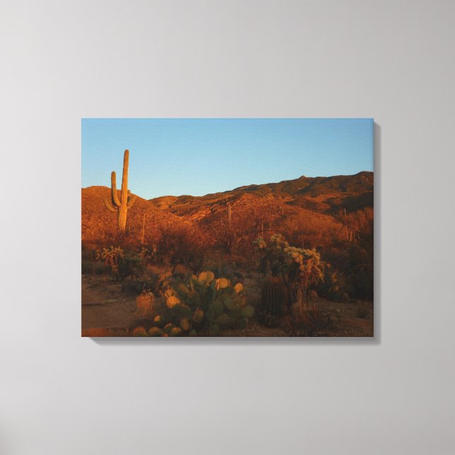 Toile Saguaro Sunset I Arizona Désert Paysage (Recto)