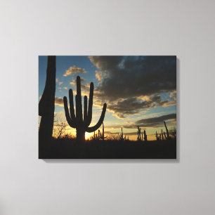 Toile Saguaro Sunset II Arizona