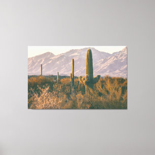 Toile Saguaros