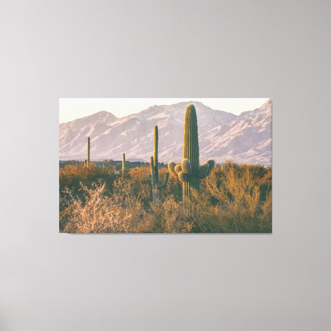 Toile Saguaros (Recto)