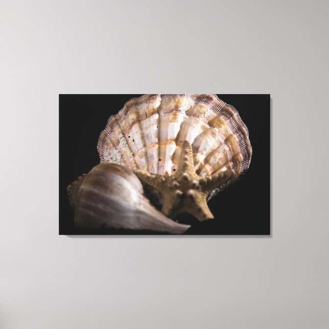 Toile Saint Jacques, Whelk, Etoile de mer (Recto)