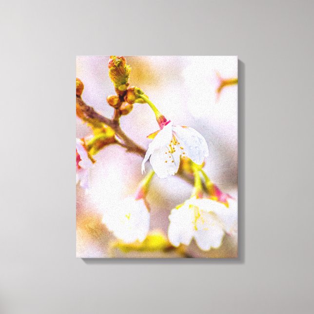 Toile Sakura - Fleur de cerisier japonaise (Recto)