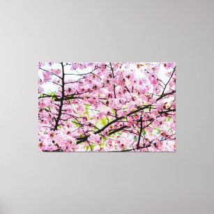 Toile Sakura Tree En Pleine Fleur Rose Au Printemps