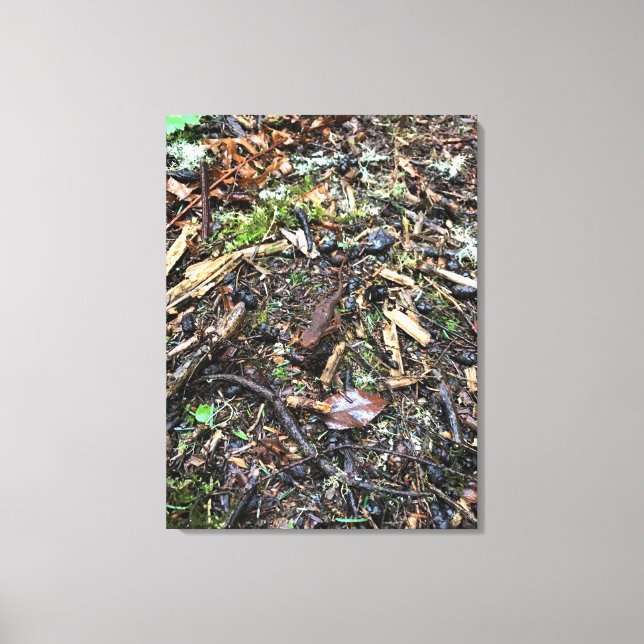 Toile Salamandre dans la forêt, Washington (Recto)