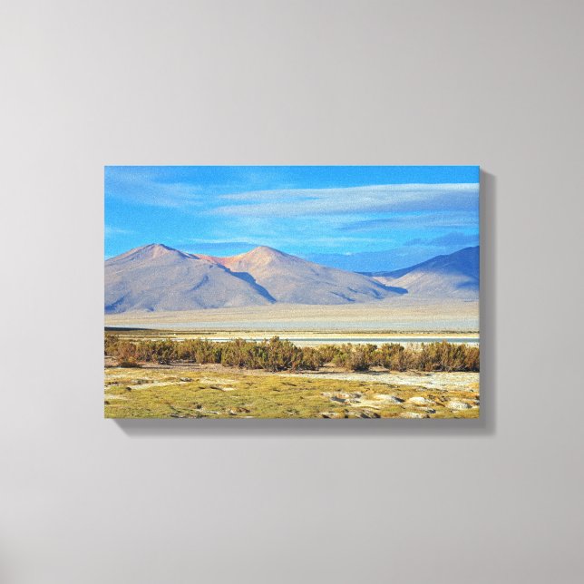 Toile Salar del Huasco, Chili (Recto)