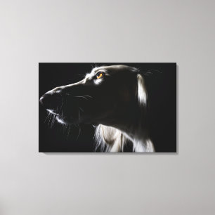 Toile Saluki, portrait